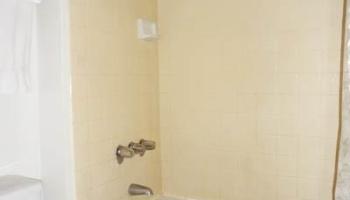 2572 Lemon Road Honolulu - Rental - photo 5 of 13