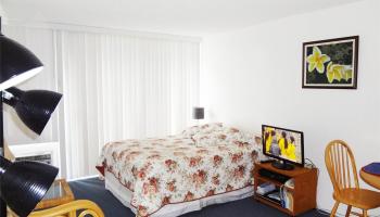 2572 Lemon Rd Honolulu - Rental - photo 5 of 7