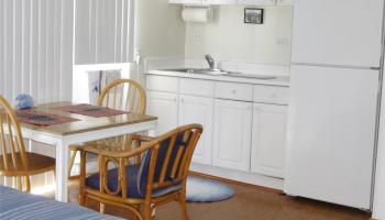 2572 Lemon Road Honolulu - Rental - photo 2 of 6