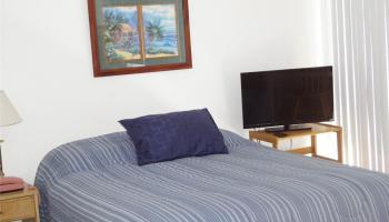 2572 Lemon Road Honolulu - Rental - photo 6 of 6