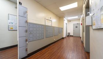 2651 Kuilei Street Honolulu - Rental - photo 5 of 22