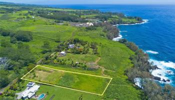 28-1168 Loa Road  Pepeekeo, Hi vacant land for sale - photo 2 of 13