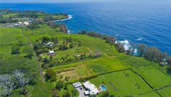 28-1168 Loa Road  Pepeekeo, Hi vacant land for sale - photo 3 of 13