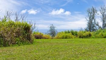 28-1168 Loa Road  Pepeekeo, Hi vacant land for sale - photo 4 of 13