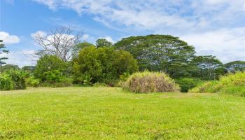 28-1168 Loa Road  Pepeekeo, Hi vacant land for sale - photo 5 of 13