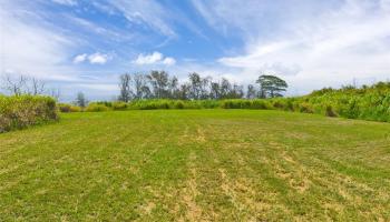 28-1168 Loa Road  Pepeekeo, Hi vacant land for sale - photo 6 of 13