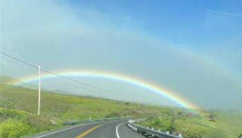 28-3280 Beach Rd  Pepeekeo, Hi vacant land for sale - photo 1 of 9