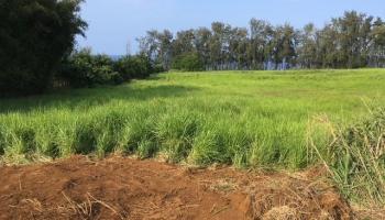 28-3280 Beach Rd  Pepeekeo, Hi vacant land for sale - photo 5 of 9