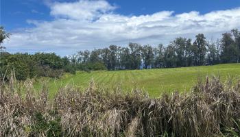 28-3280 Beach Rd  Pepeekeo, Hi vacant land for sale - photo 6 of 9