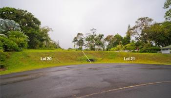 29-2291 Hanamalo Loop  Hakalau, Hi vacant land for sale - photo 6 of 9