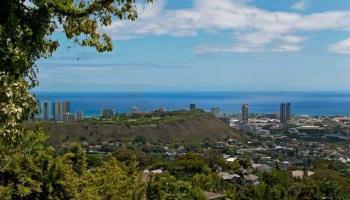2992A Pacific Heights Rd  Honolulu, Hi vacant land for sale - photo 3 of 7
