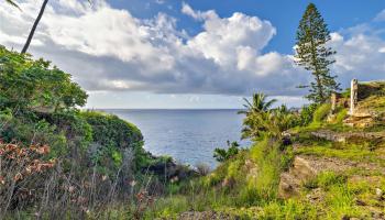 3 Poipu Drive  Honolulu, Hi vacant land for sale - photo 2 of 24