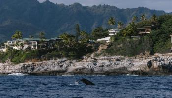 3 Poipu Drive  Honolulu, Hi vacant land for sale - photo 1 of 21