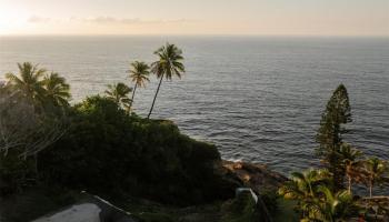 3 Poipu Dr  Honolulu, Hi vacant land for sale - photo 5 of 21