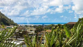 3003  Hoaloha Place Dowsett, Honolulu home - photo 4 of 24