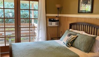 301  Ponahawai St Hilo, South Hilo home - photo 5 of 12