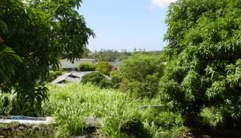 3017 Lono Pl  Honolulu, Hi vacant land for sale - photo 3 of 10