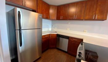 3045 Ala Napuaa Pl Honolulu - Rental - photo 2 of 16