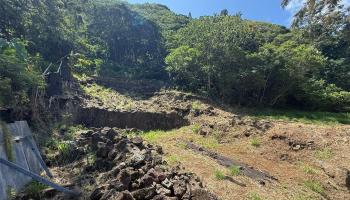 3059 Woolsey Pl  Honolulu, Hi vacant land for sale - photo 4 of 18