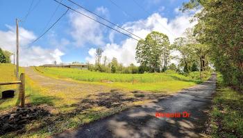 3076 Ainaola Drive  Hilo, Hi vacant land for sale - photo 3 of 12