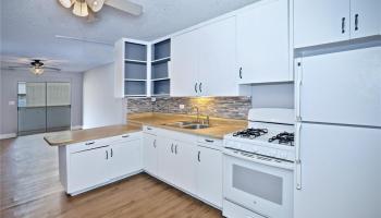 Hale Pua Lei condo # 101, Honolulu, Hawaii - photo 4 of 20