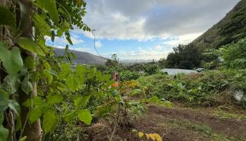 3133 Huelani Pl  Honolulu, Hi vacant land for sale - photo 5 of 17