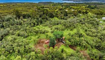 3158 Kaiwiki Rd  Hilo, Hi vacant land for sale - photo 1 of 4