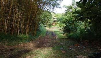 315C Uwala Road  Hana, Hi vacant land for sale - photo 1 of 1