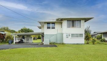 316  Nohea Street Waiakea Hmstd,  home - photo 1 of 25