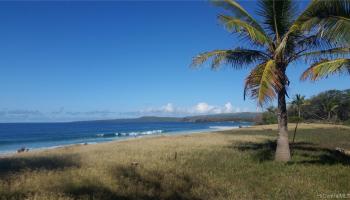 3170 Kalua Koi Road  Maunaloa, Hi vacant land for sale - photo 5 of 7