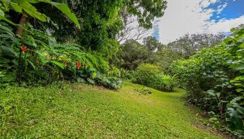 3224 Pelekane Dr Parcel 053 Honolulu, Hi vacant land for sale - photo 5 of 7