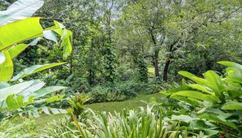 3242 Pelekane Drive  Honolulu, Hi vacant land for sale - photo 4 of 25