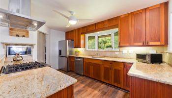 32-56  Piha Kahuku Road Ninole, North Hilo home - photo 6 of 22