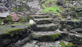 3369  Paty Drive Manoa-woodlawn, Honolulu home - photo 5 of 6