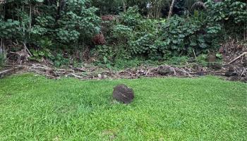 3369  Paty Drive Manoa-woodlawn, Honolulu home - photo 6 of 6