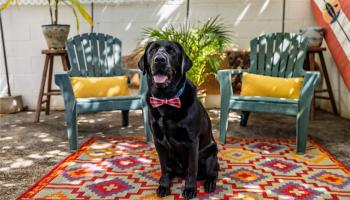 Hale Hana condo # 101, Honolulu, Hawaii - photo 1 of 1