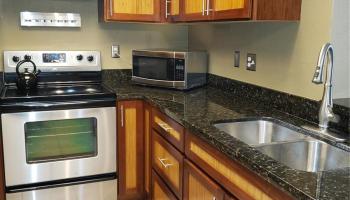 350 Mananai Pl Honolulu - Rental - photo 4 of 16