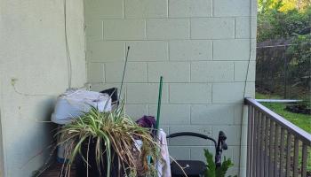 Orchid Manor condo # 103, Hilo, Hawaii - photo 4 of 8