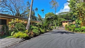 3692, 3694, 3695, 3698  Woodlawn Terrace Pl Manoa-woodlawn, Honolulu home - photo 4 of 22