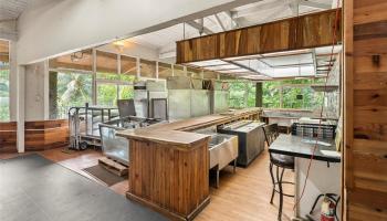 3737 Manoa Road  Honolulu, Hi vacant land for sale - photo 4 of 25