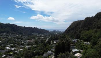 3800 Waokanaka Street  Honolulu, Hi vacant land for sale - photo 5 of 5