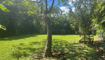 3821  Haulani Place Ahualoa, Hamakua home - photo 4 of 23