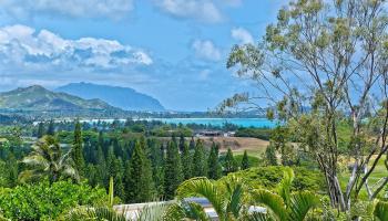 387E Kaelepulu Dr Kailua - Rental - photo 5 of 22