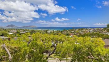 3880  Pokapahu Place Diamond Head, Diamond Head home - photo 3 of 25