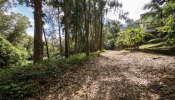 3890 Waokanaka St Lot 1 Honolulu, Hi vacant land for sale - photo 5 of 14