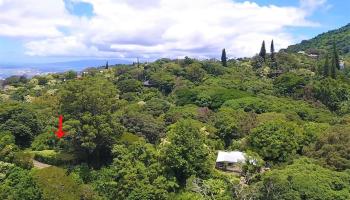 3953 Round Top Drive  Honolulu, Hi vacant land for sale - photo 6 of 16