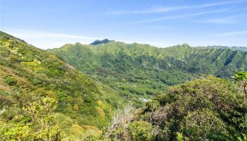 4007 Round Top Drive Honolulu, Hi vacant land for sale - photo 6 of 25