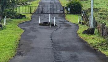 4051 Ahuanani Pl  Hilo, Hi vacant land for sale - photo 1 of 15