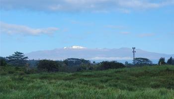 4051 Ahuanani Pl  Hilo, Hi vacant land for sale - photo 2 of 15