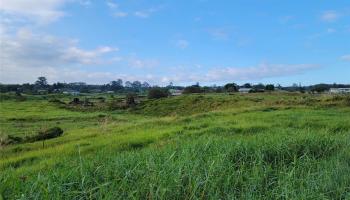4051 Ahuanani Pl  Hilo, Hi vacant land for sale - photo 4 of 15